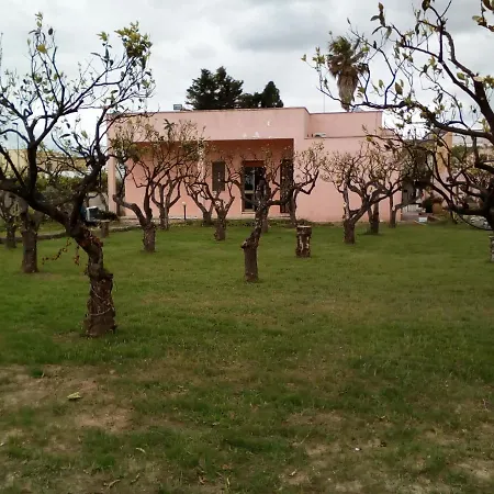 L'aia